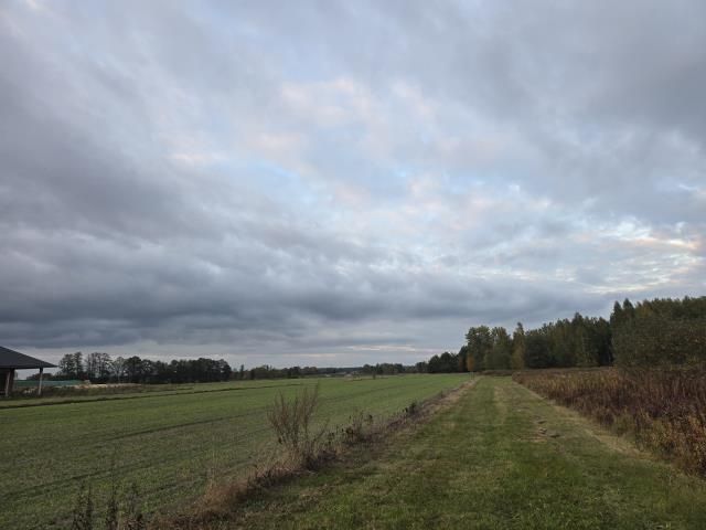 Działka budowlana Krzywica. Zdjęcie 4