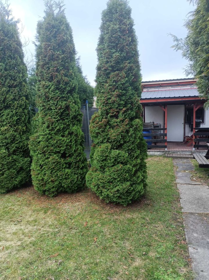 Działka rod Tczew Czyżykowo. Zdjęcie 7