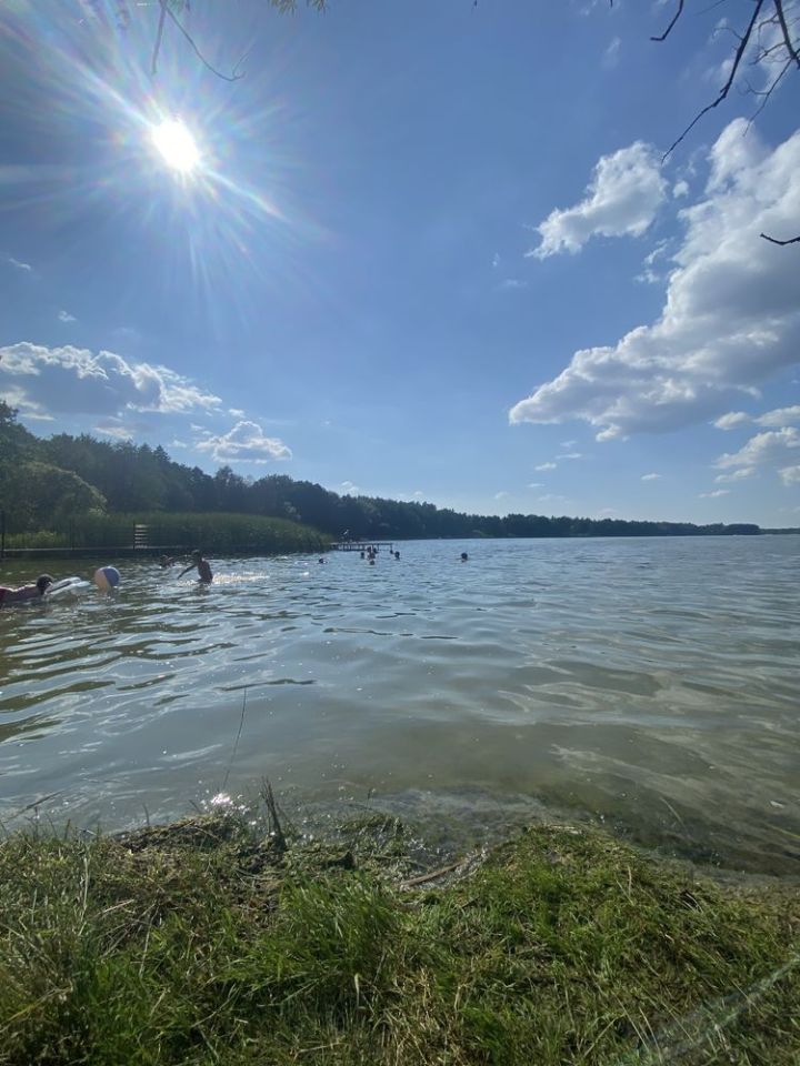 Działka rekreacyjna Piotrowo. Zdjęcie 4