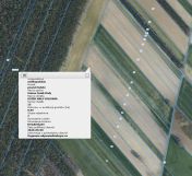 Działka rolna Osiek Mały-Kolonia. Zdjęcie 1