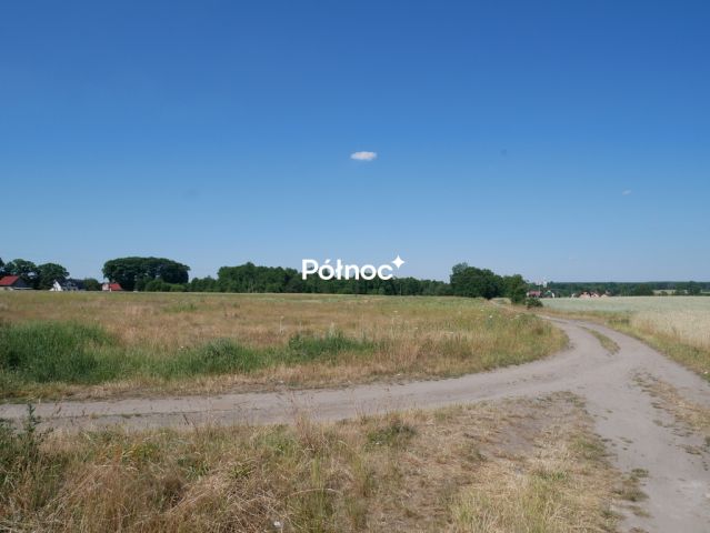 Działka inwestycyjna Wykroty. Zdjęcie 5