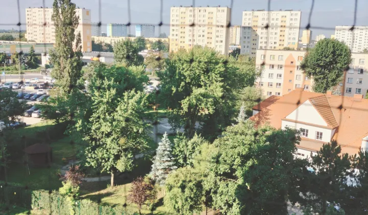 Mieszkanie 2-pokojowe Toruń Rubinkowo, ul. Tymona Niesiołowskiego