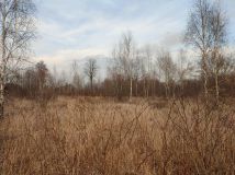 Działka siedliskowa Białystok Dojlidy Górne, ul. Liniowa. Zdjęcie 2