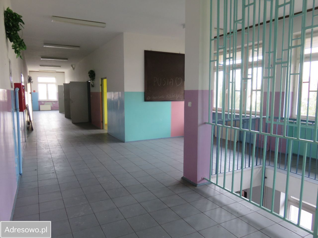 Lokal Paprotnia. Zdjęcie 15