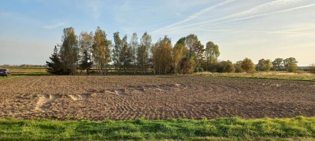 Działka budowlana Korzeńsko, ul. Chodlewska. Zdjęcie 1