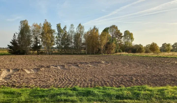 Działka budowlana Korzeńsko, ul. Chodlewska