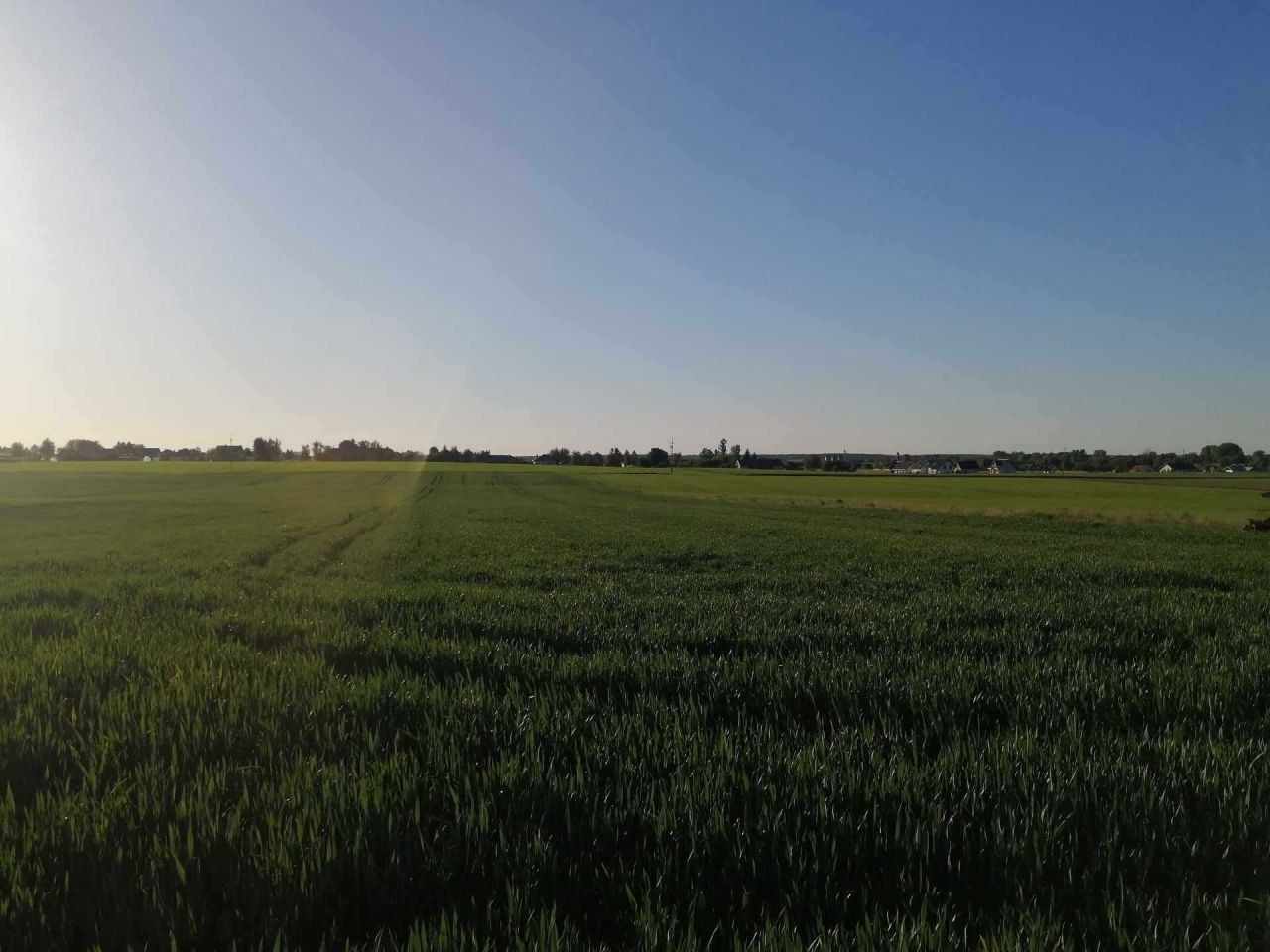 Działka budowlana Jabłonna Druga. Zdjęcie 2