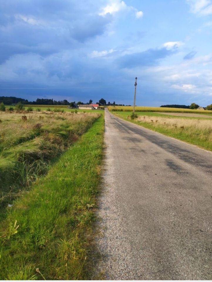 Działka rolno-budowlana Oziabły. Zdjęcie 8