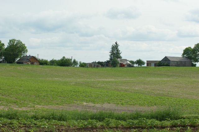 Działka rolna Steniatyn-Kolonia. Zdjęcie 1