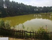 Działka budowlana Kolonia Sójki. Zdjęcie 3