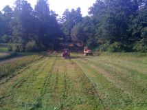 Działka rolno-budowlana Babsk, ul. Kwiatowa. Zdjęcie 2