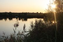 Działka budowlana Kruszyn, ul. Jagodowa. Zdjęcie 4