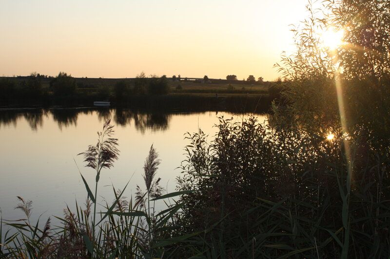 Działka budowlana Kruszyn, ul. Jagodowa. Zdjęcie 5