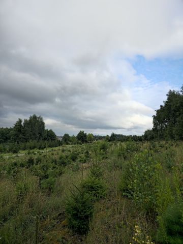 Działka budowlana Czernikowo. Zdjęcie 1