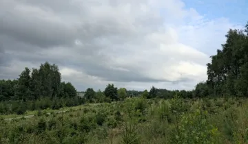 Działka na sprzedaż bez pośredników          
          
            ul. Targowa          
          
            Czernikowo - Widok 4