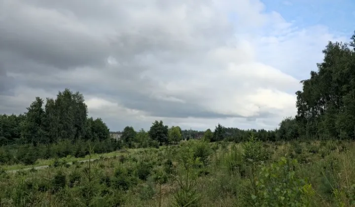 Działka budowlana Czernikowo