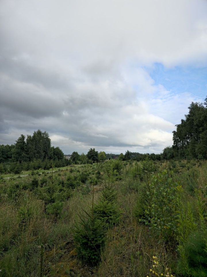 Działka budowlana Czernikowo