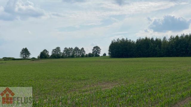 Działka rolna Czułówek. Zdjęcie 6