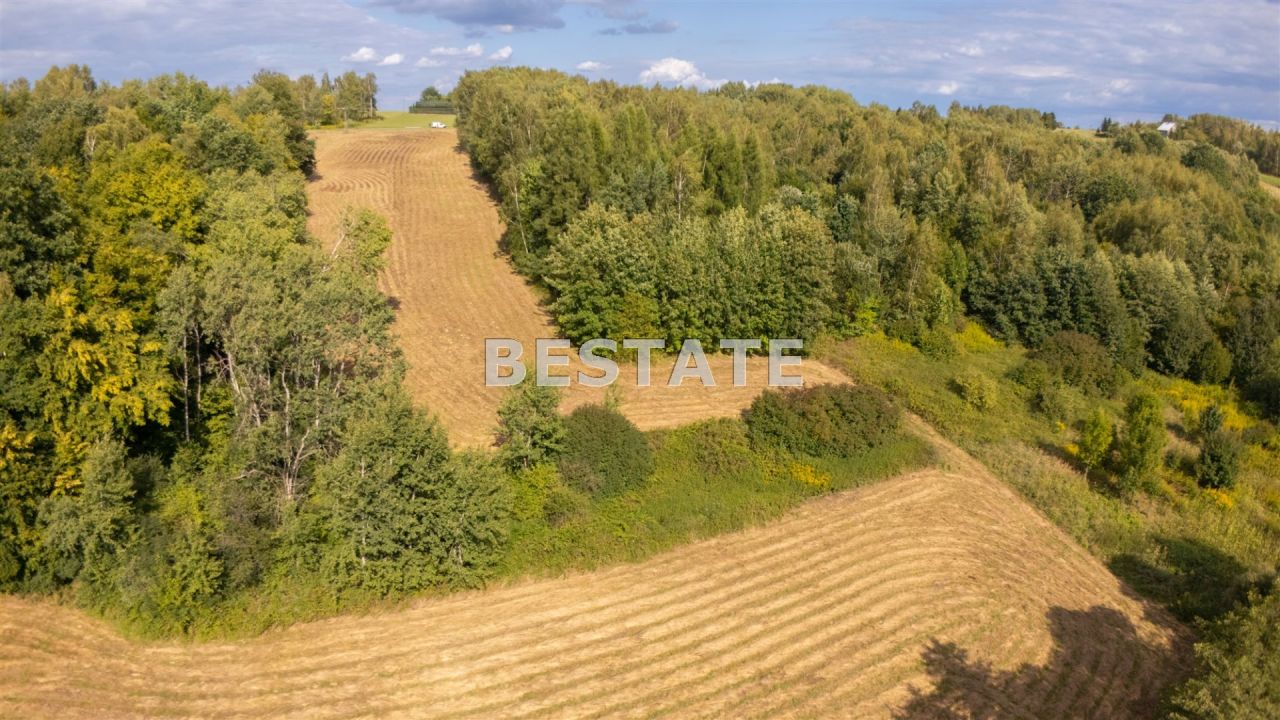 Działka rolna Lewniowa. Zdjęcie 8