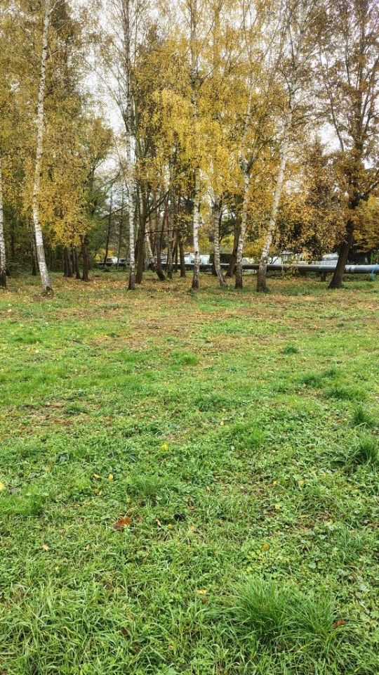 Działka rekreacyjna Nowe Czarnowo. Zdjęcie 3