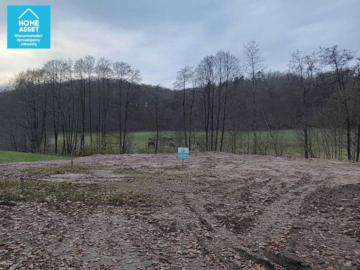 Działka budowlana Przetoczyno. Zdjęcie 10