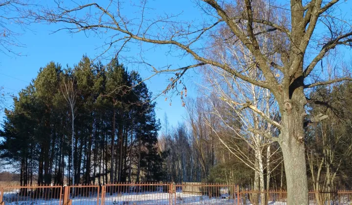 Działka budowlana Dręszew