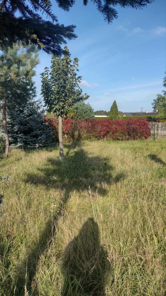 Działka budowlana Borowa, ul. Długa. Zdjęcie 4