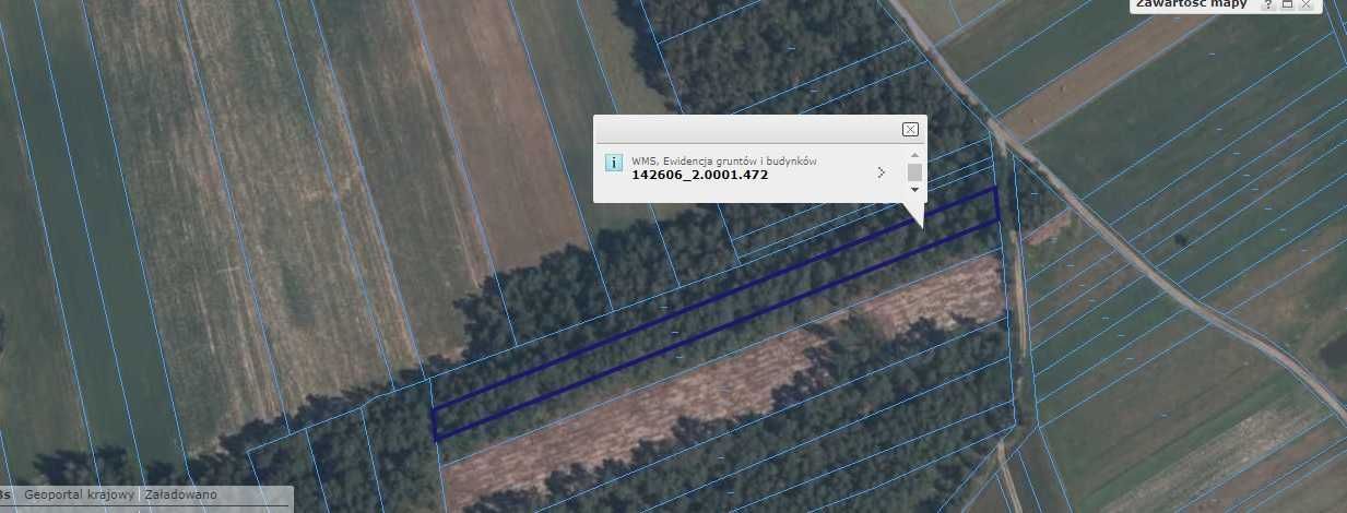 Działka leśna Czarnoty. Zdjęcie 2