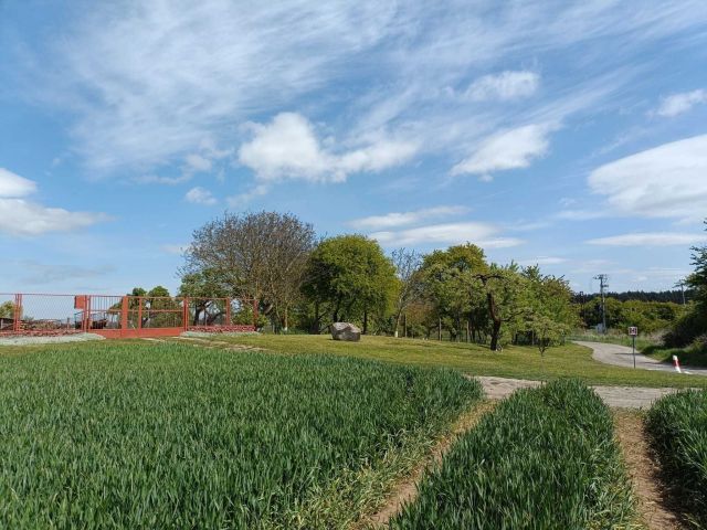 gospodarstwo Morzeszczyn. Zdjęcie 1