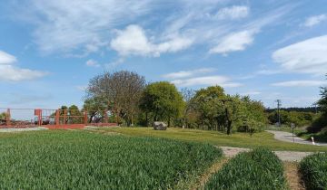 gospodarstwo Morzeszczyn