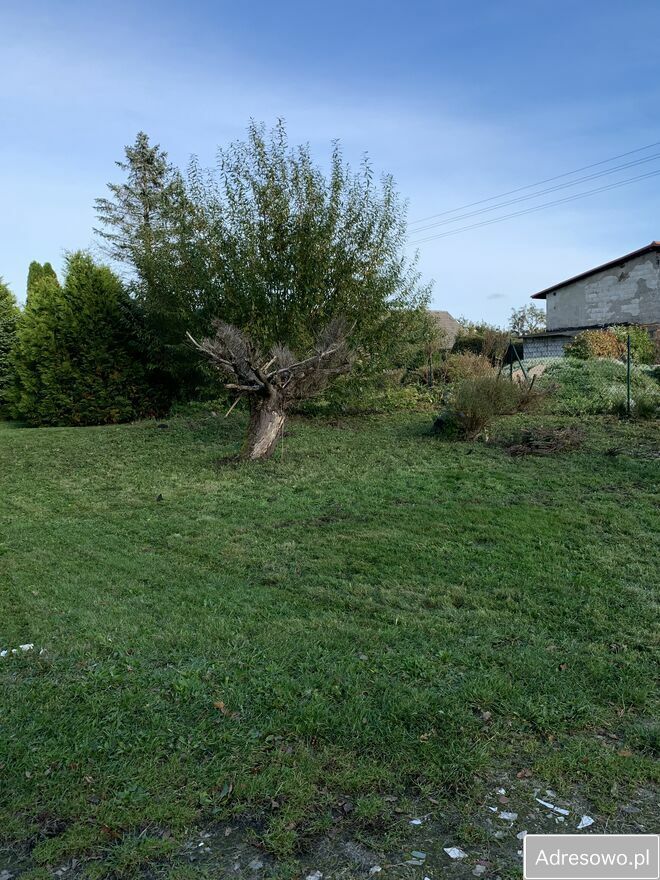 siedlisko, 5 pokoi Troszki. Zdjęcie 8