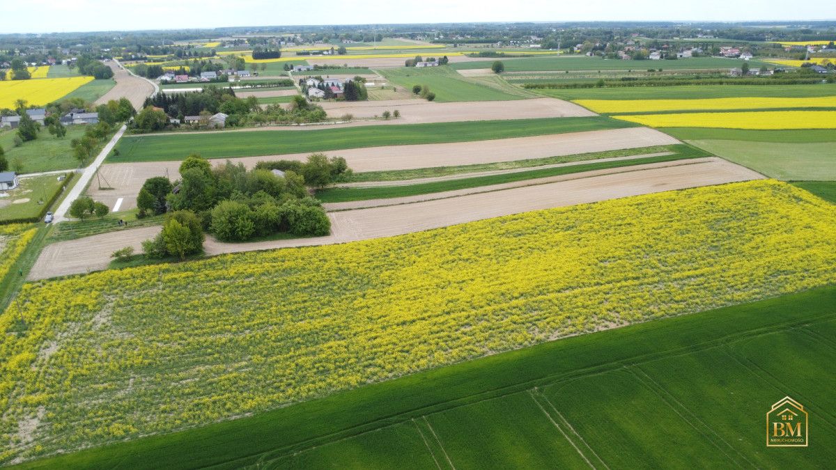 Działka siedliskowa Płouszowice-Kolonia. Zdjęcie 8