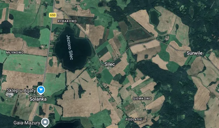 Działka siedliskowa Silec