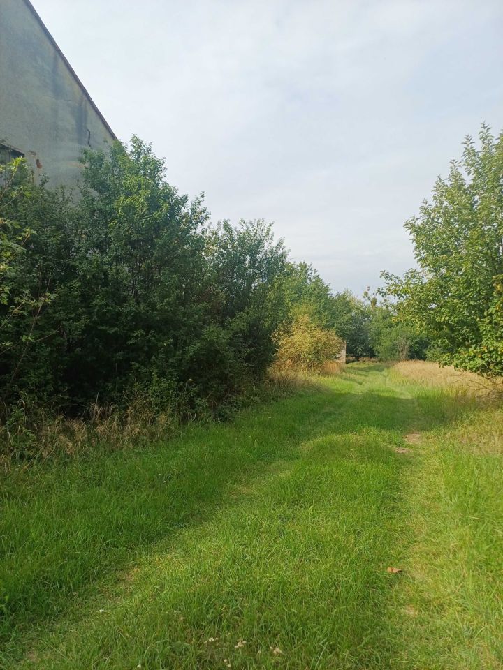 Działka inwestycyjna Kobyla Góra. Zdjęcie 6