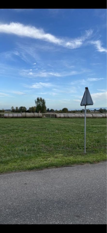 Działka budowlana Wieprzyce. Zdjęcie 4