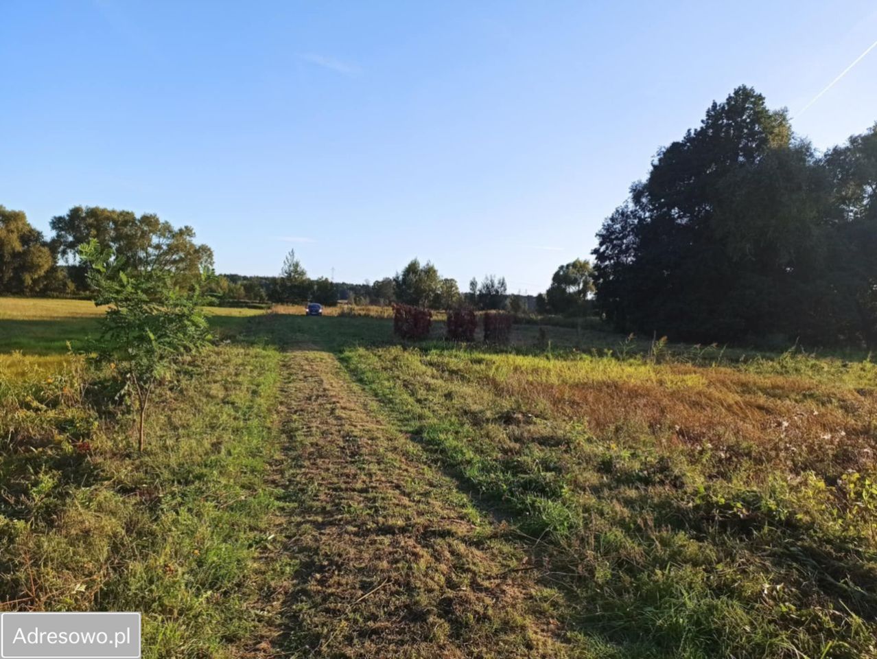 Działka budowlana Duchnów, ul. Wspólna. Zdjęcie 4