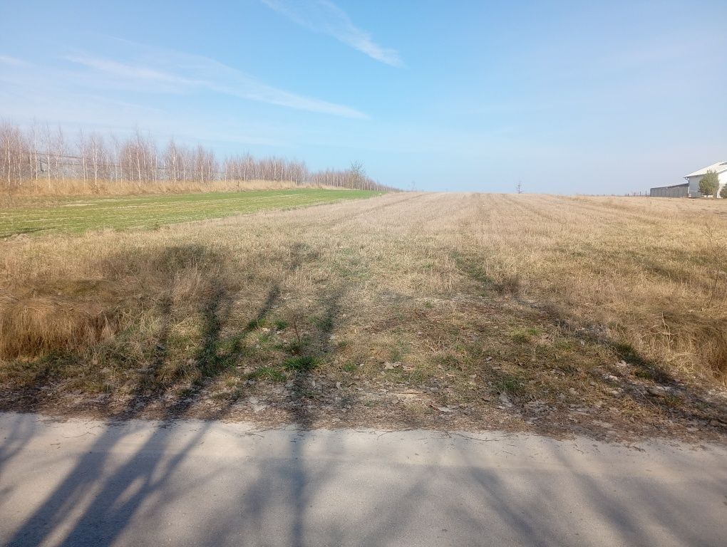 Działka rolno-budowlana Niemścice. Zdjęcie 7