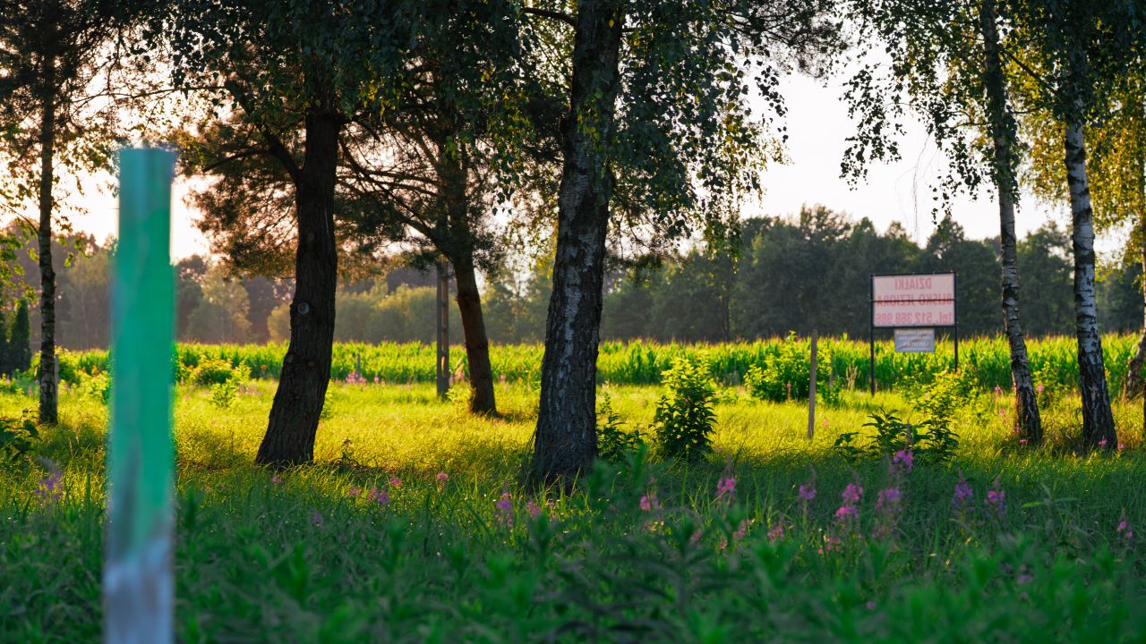 Działka rekreacyjna Orzechów-Kolonia. Zdjęcie 14