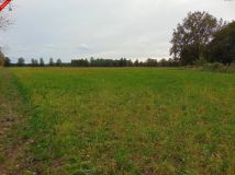 Działka inwestycyjna Zielona Góra. Zdjęcie 2