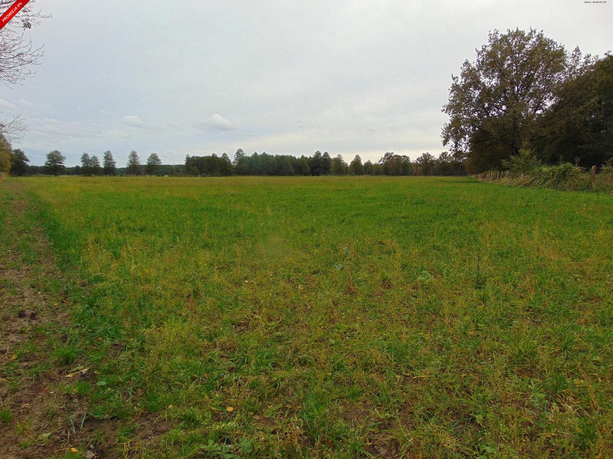 Działka inwestycyjna Zielona Góra. Zdjęcie 3