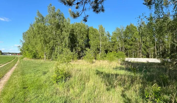 Działka budowlana Nekla, ul. Polna