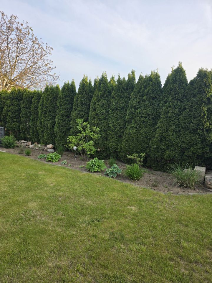 Działka rod Prostki, ul. Zielona. Zdjęcie 3