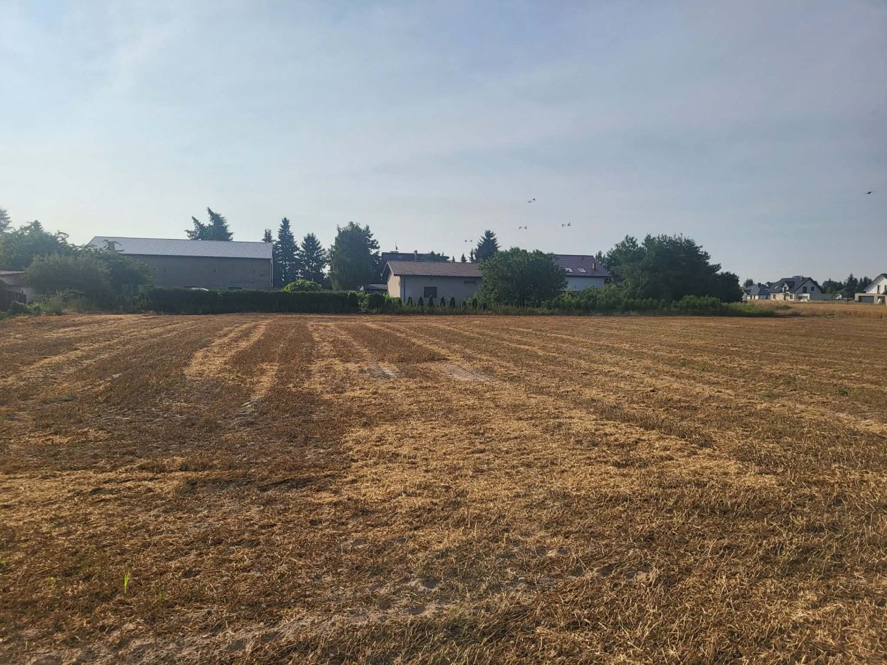 Działka budowlana Konradówka Gołaczów. Zdjęcie 8