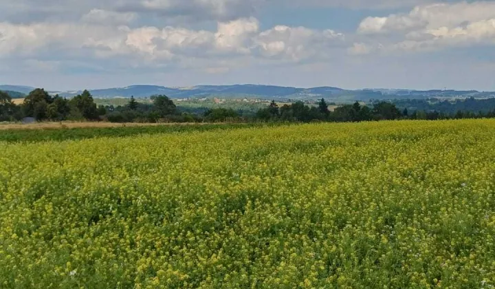 Działka budowlana Juraszowa