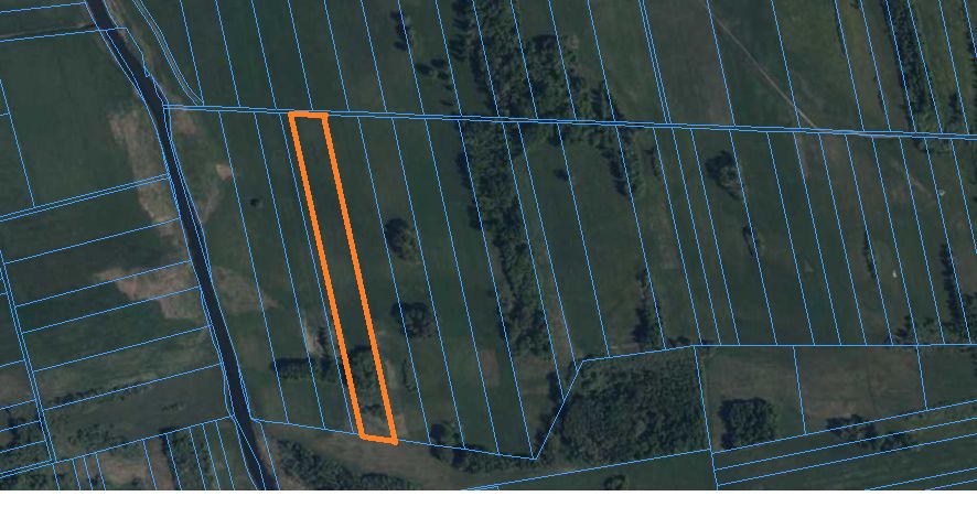 Działka rolna Sojczyn Grądowy. Zdjęcie 2