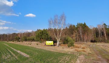 Działka rolna Samorządki-Kolonia