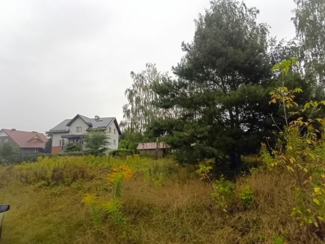 Działka rolno-budowlana Michałów-Reginów. Zdjęcie 5