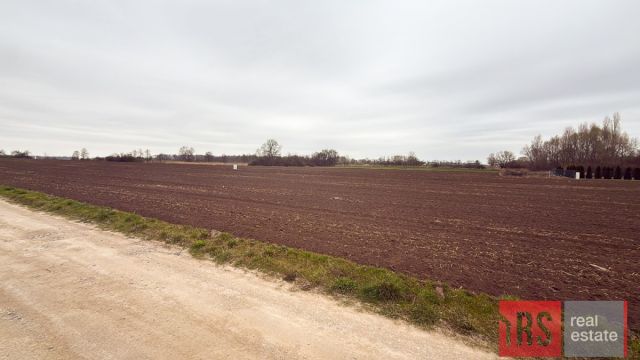 Działka inwestycyjna Kobierzyce, ul. Konwaliowa. Zdjęcie 6