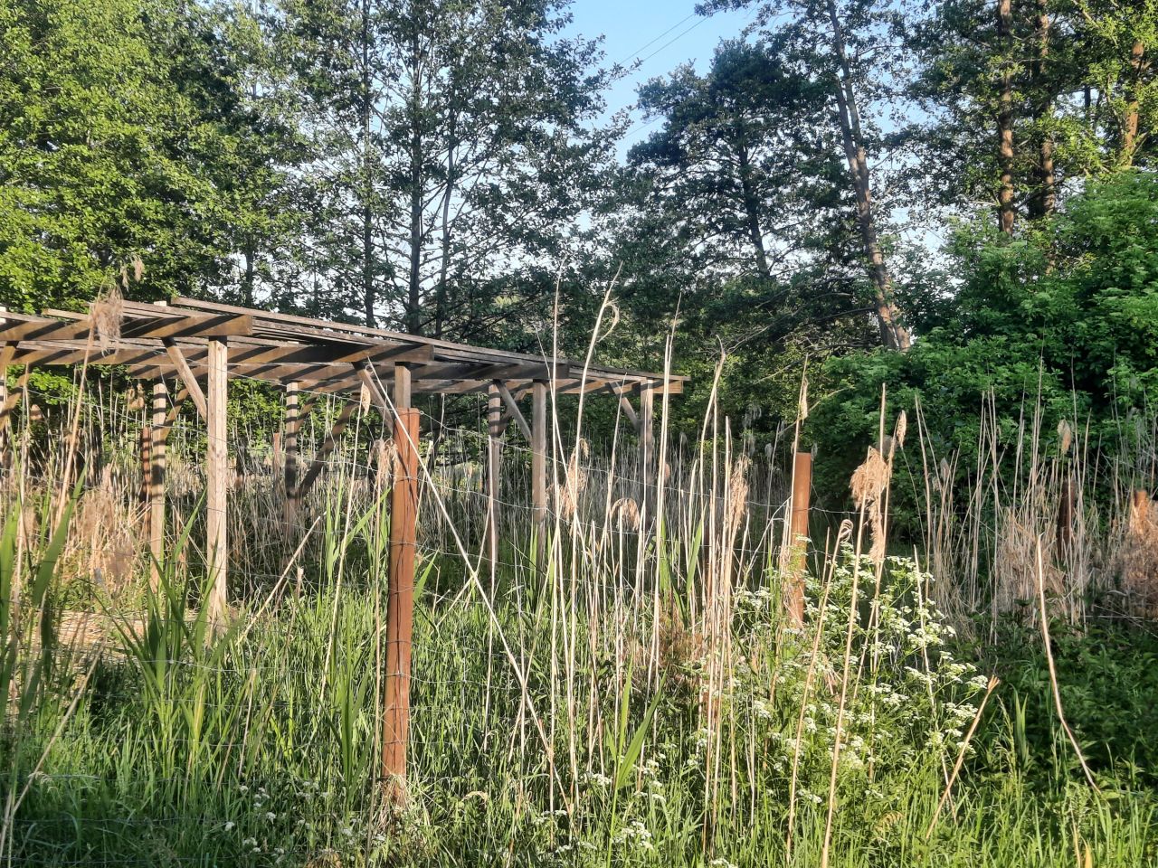 Działka rekreacyjna Minikowo. Zdjęcie 9