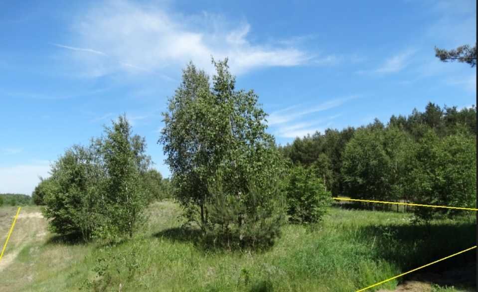 Działka siedliskowa Bąblinek. Zdjęcie 6